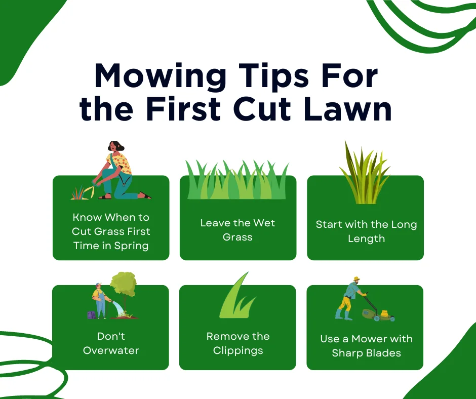 An infographic on mowing tips for first cut lawn 