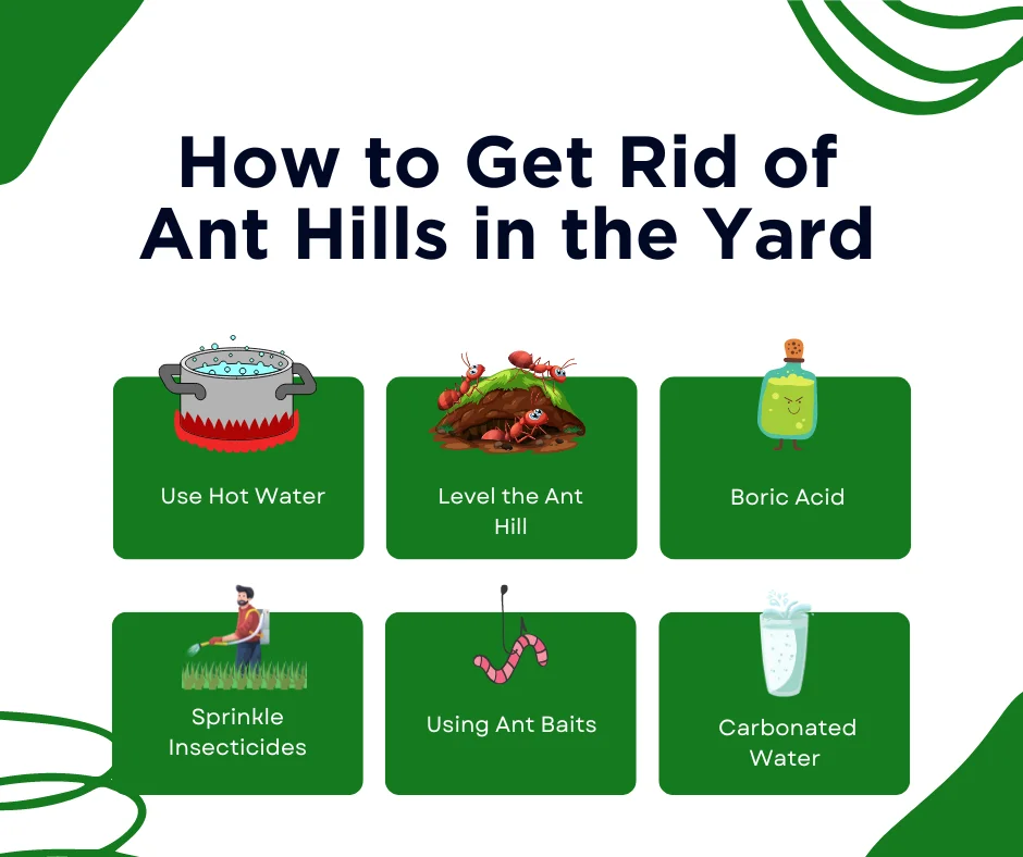 An infographic on how to get rid of ant hills in yard