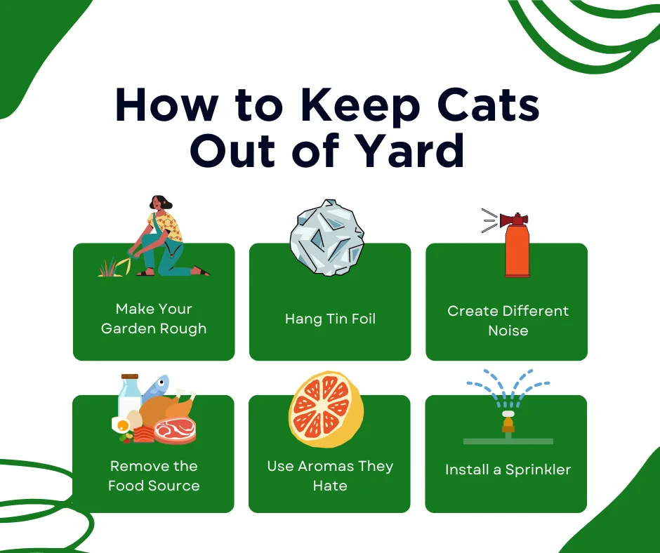 An infographic on how to keep cats out of your yard