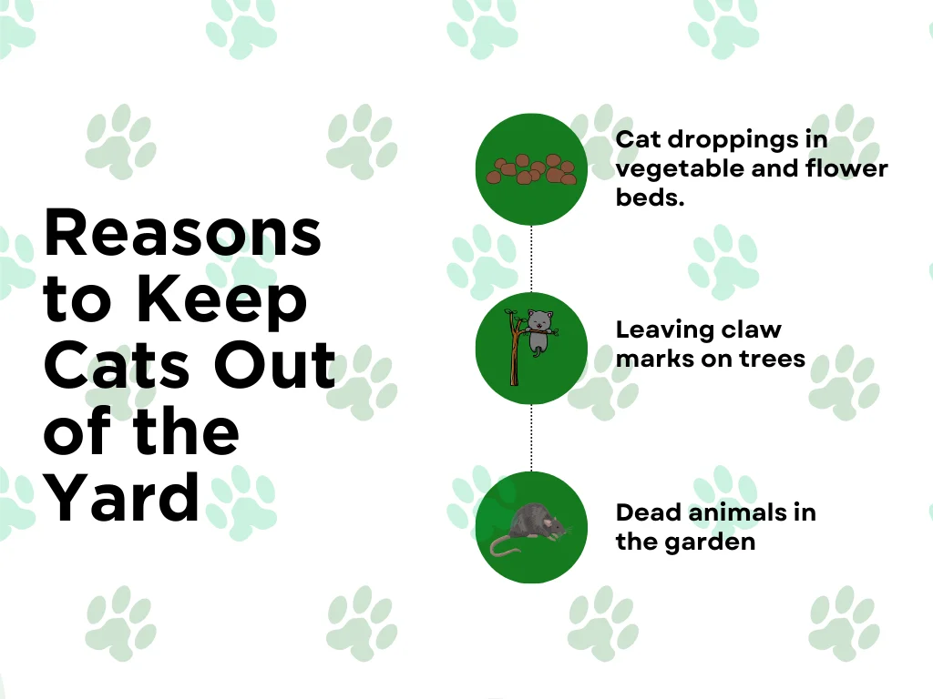 An infographic on the top three reasons to keep cats out of the yard