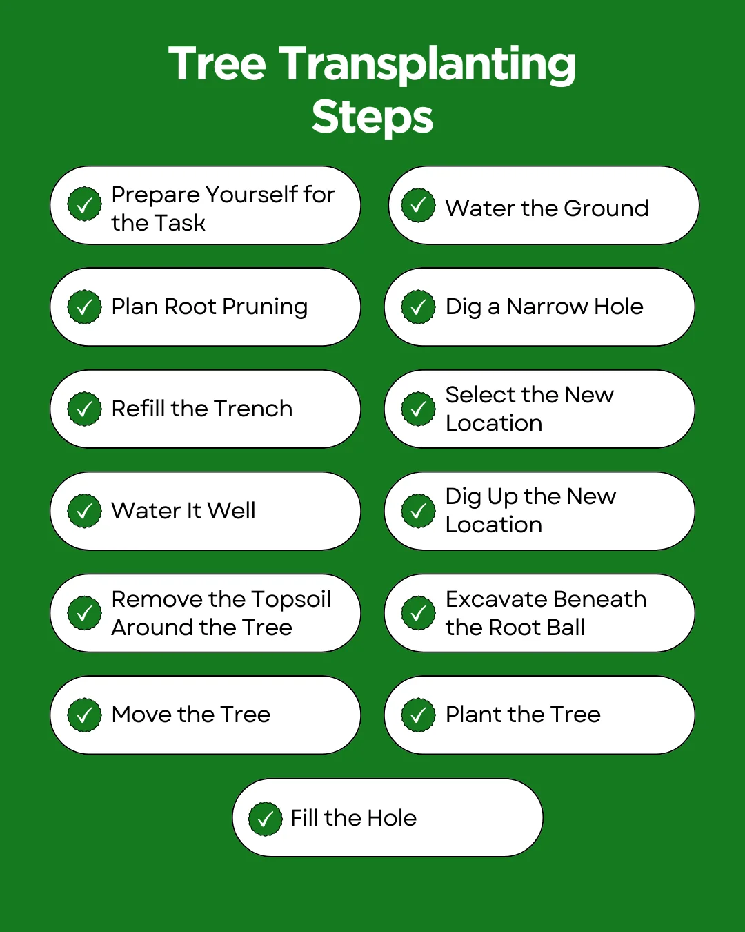 An infographic explaining the tree transplanting steps