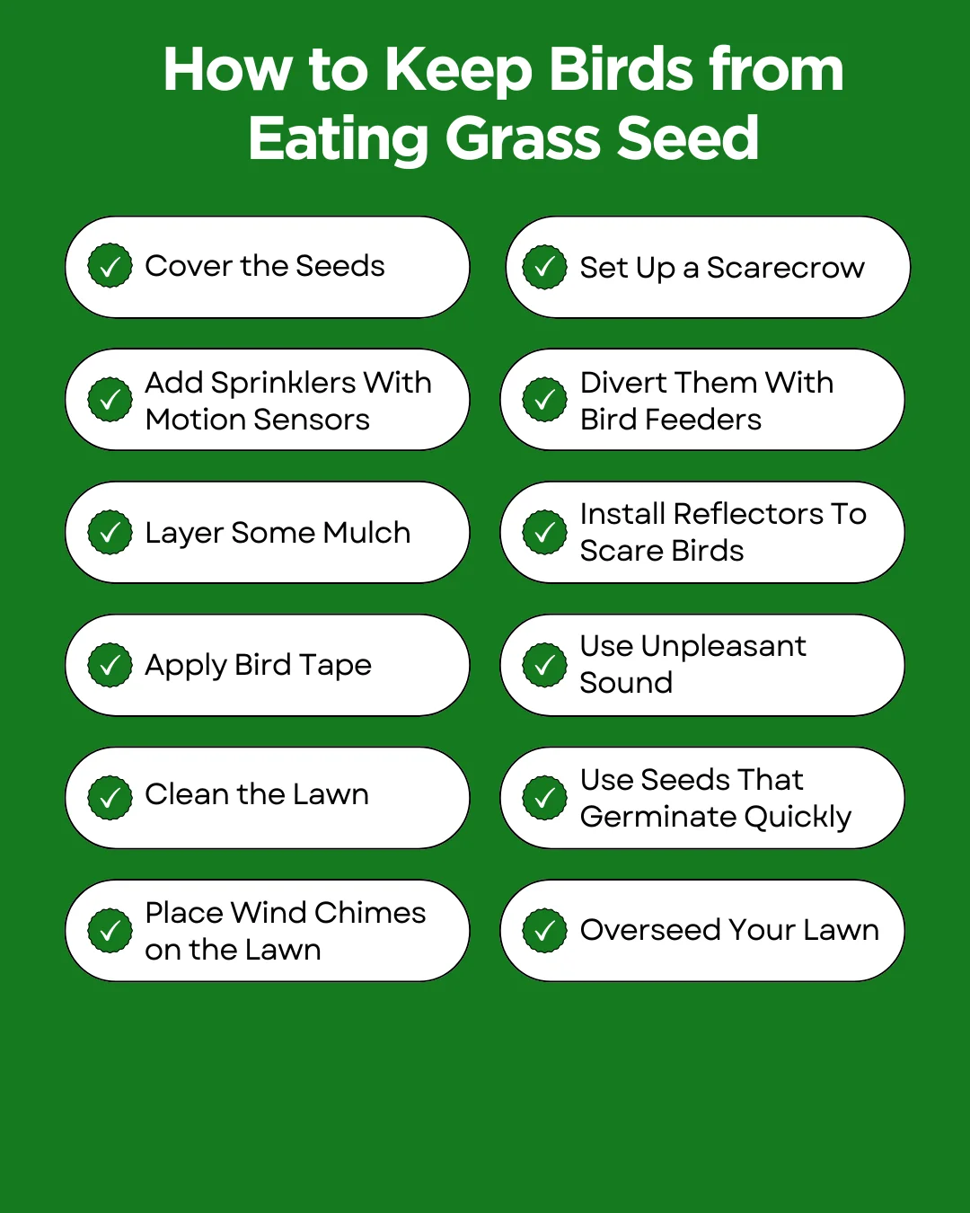 An infographic on how to keep birds from eating grass seed