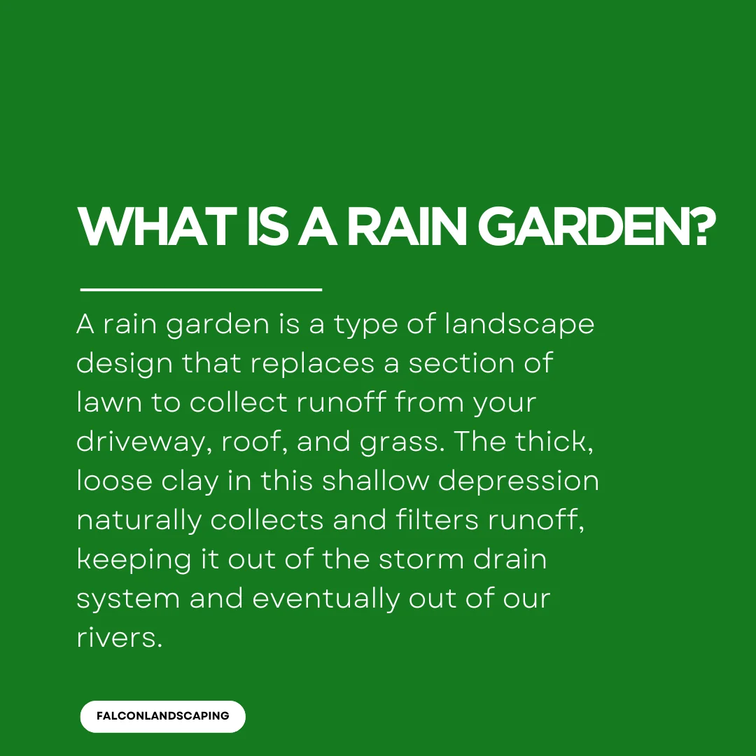 A post explaining what is a rain garden